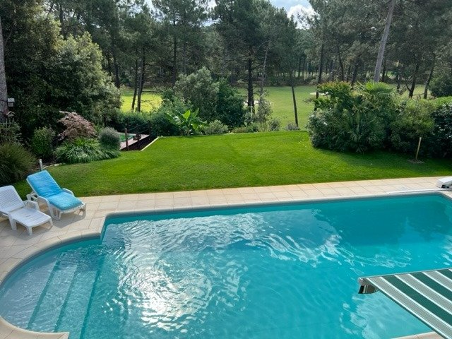 Photo 2 de l'annonce.