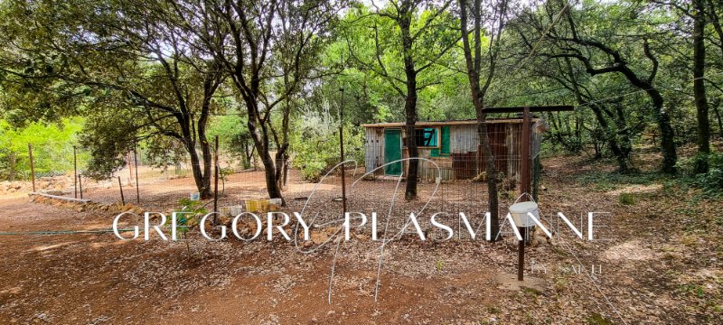 Photo 10 de l'annonce.