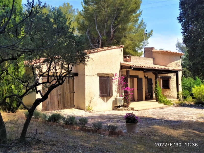 Photo 3 de l'annonce.