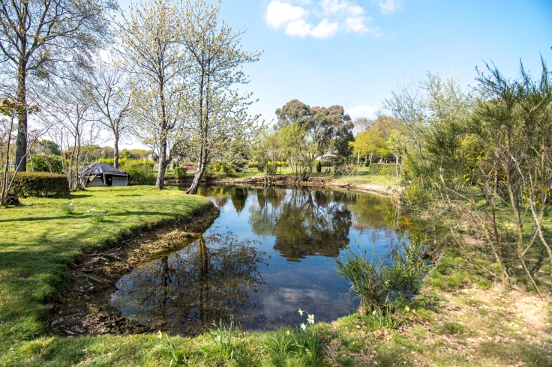 Photo 6 of the listing.