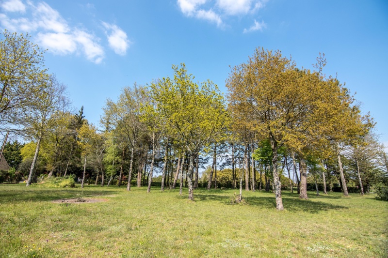 Photo 5 of the listing.