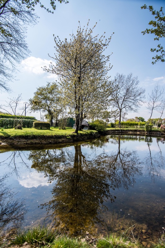 Photo 4 of the listing.