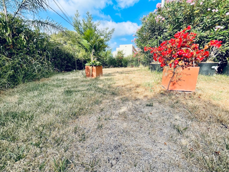 Photo 7 of the listing.