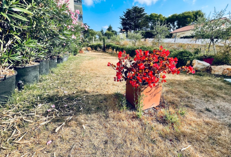 Photo 6 of the listing.