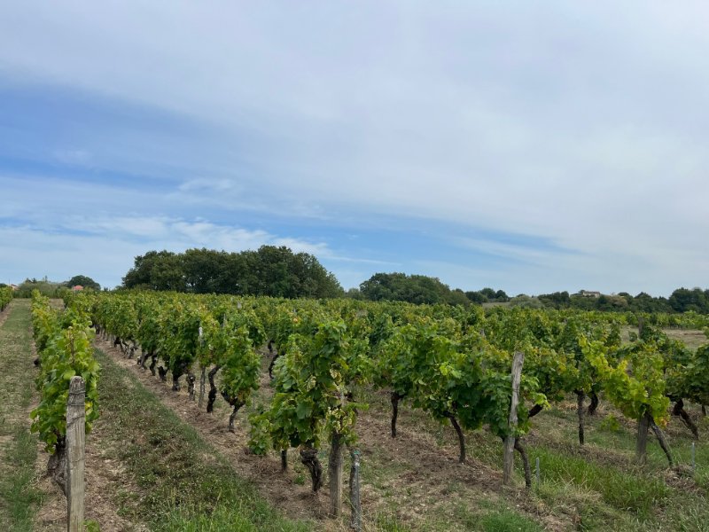 Photo 7 of the listing.