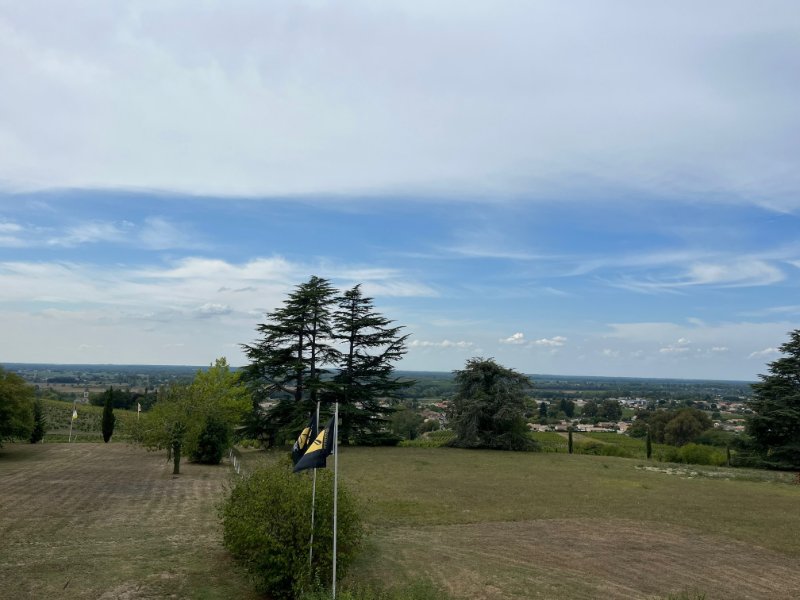 Photo 8 of the listing.