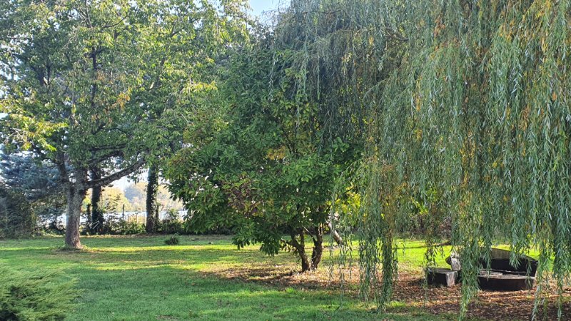 Photo 3 de l'annonce.