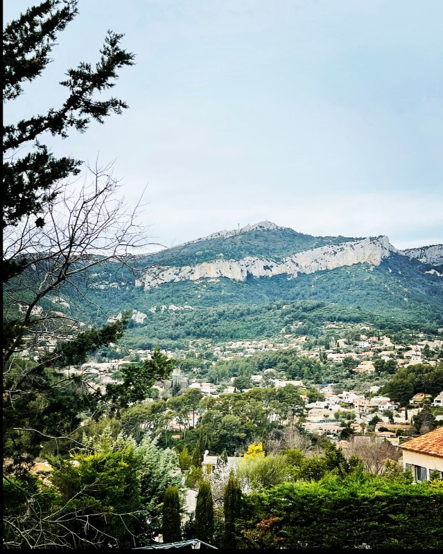 Photo 2 de l'annonce.