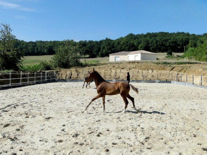 Photo 18 de l'annonce.