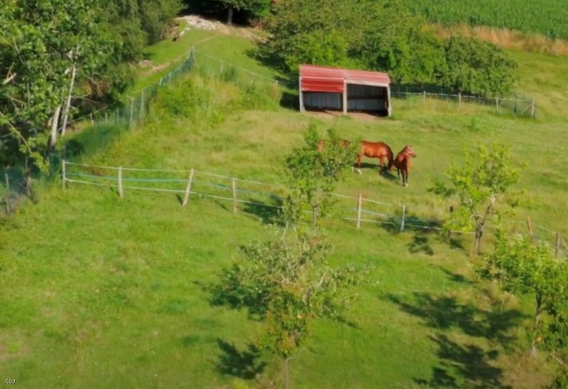 Photo 21 de l'annonce.