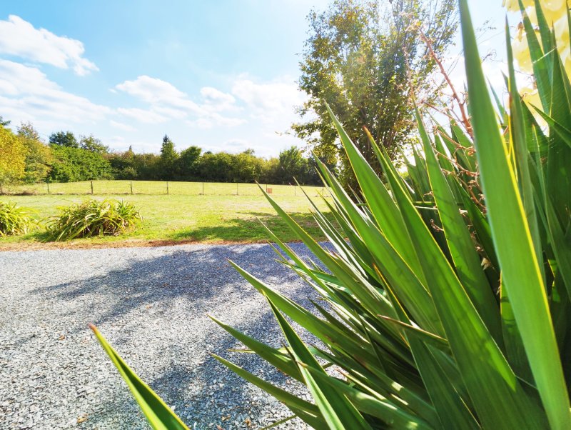 Photo 2 of the listing.