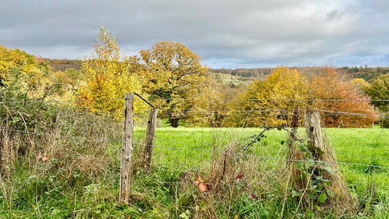 Photo 3 de l'annonce.