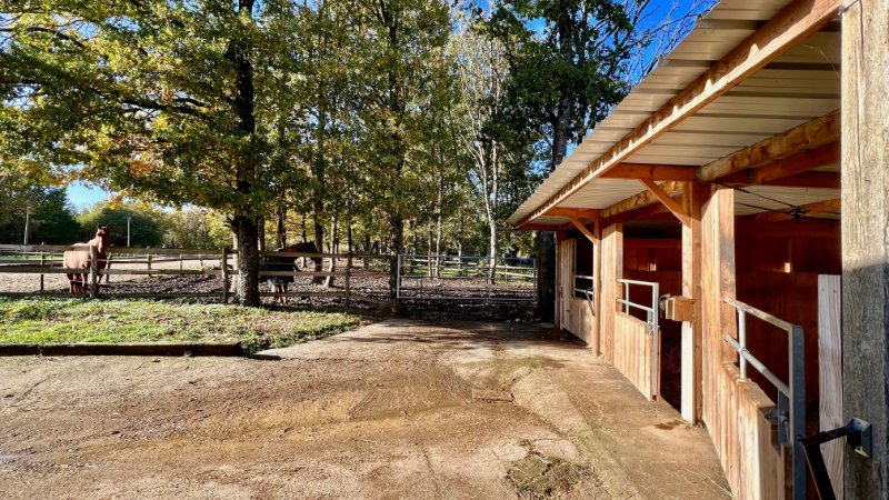 Photo 8 de l'annonce.