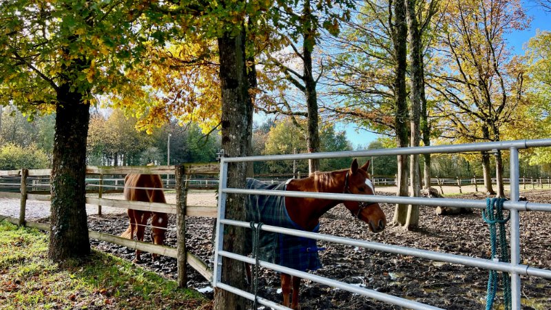 Photo 14 de l'annonce.