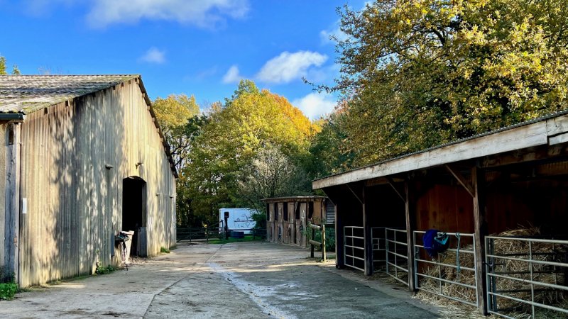 Photo 9 de l'annonce.