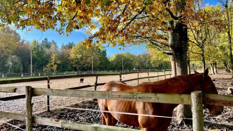 Photo 5 de l'annonce.