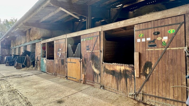 Photo 4 de l'annonce.