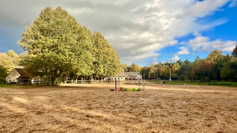 Photo 11 de l'annonce.