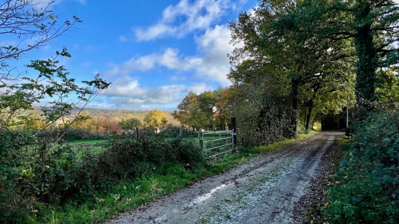 Photo 2 de l'annonce.