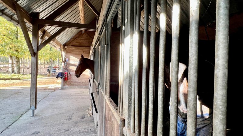 Photo 7 de l'annonce.