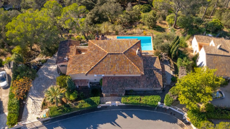 Photo 2 de l'annonce.