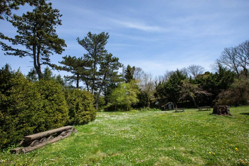 Photo 13 of the listing.