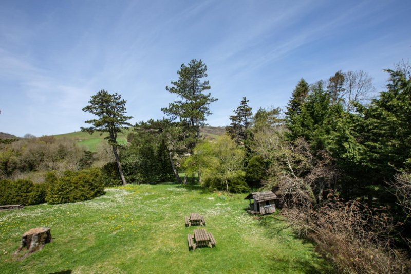 Photo 12 of the listing.