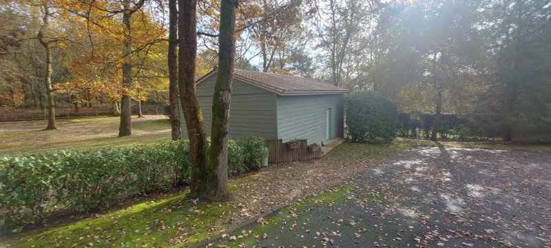 Photo 14 of the listing.