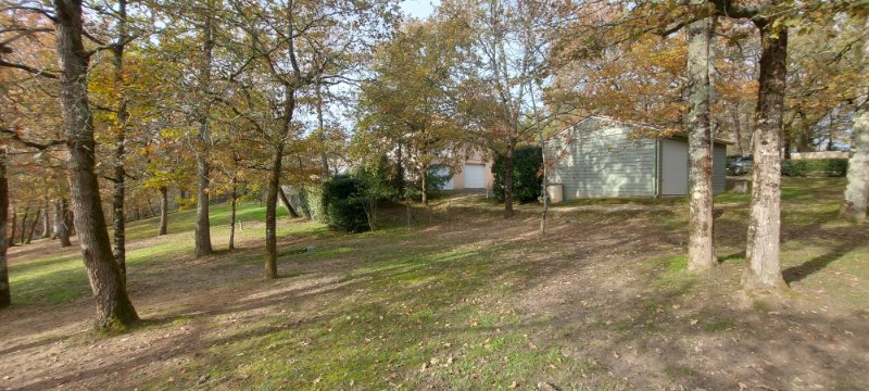 Photo 15 of the listing.