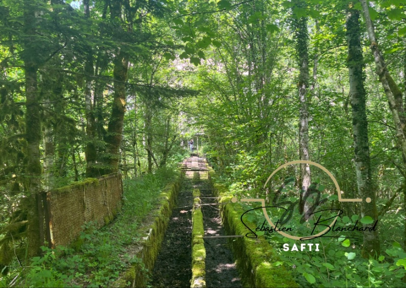 Photo 11 of the listing.