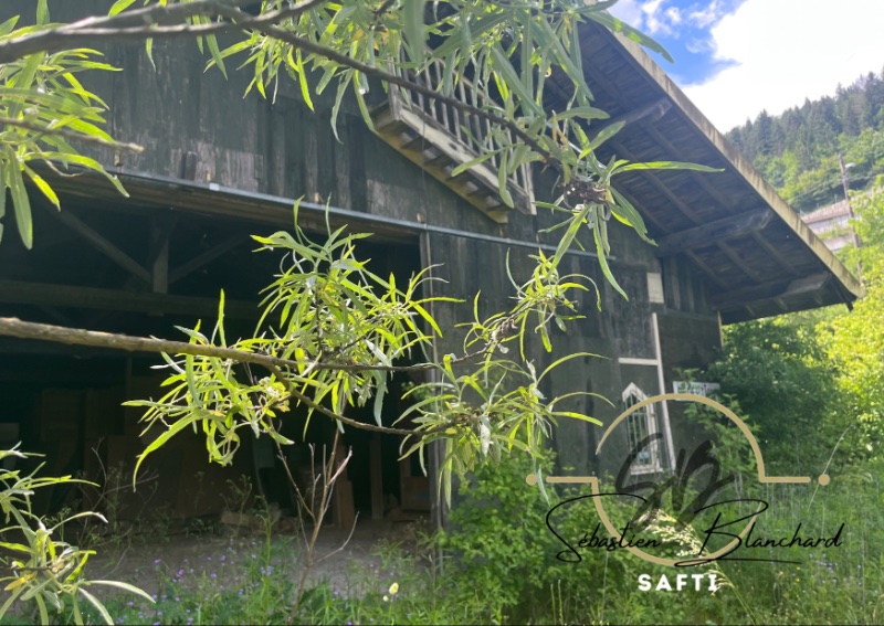 Photo 5 of the listing.