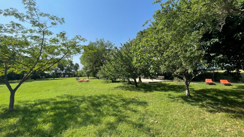 Photo 5 de l'annonce.