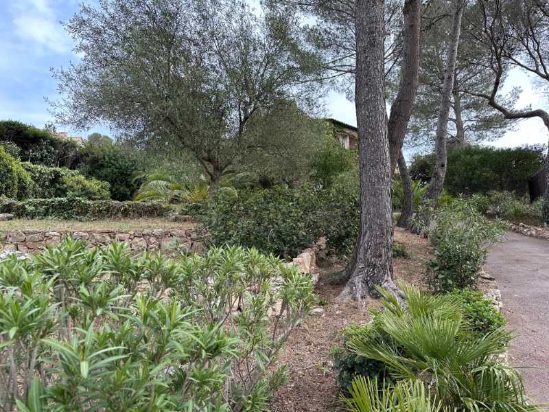 Foto 12 del anuncio.