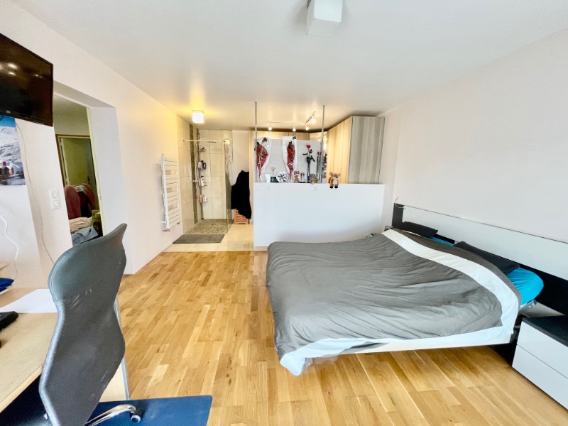 Photo 18 de l'annonce.