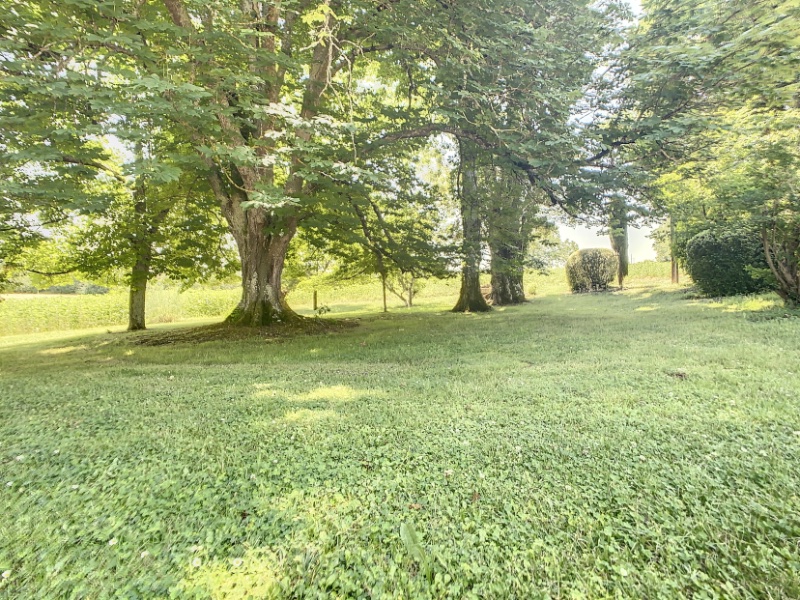 Photo 24 of the listing.