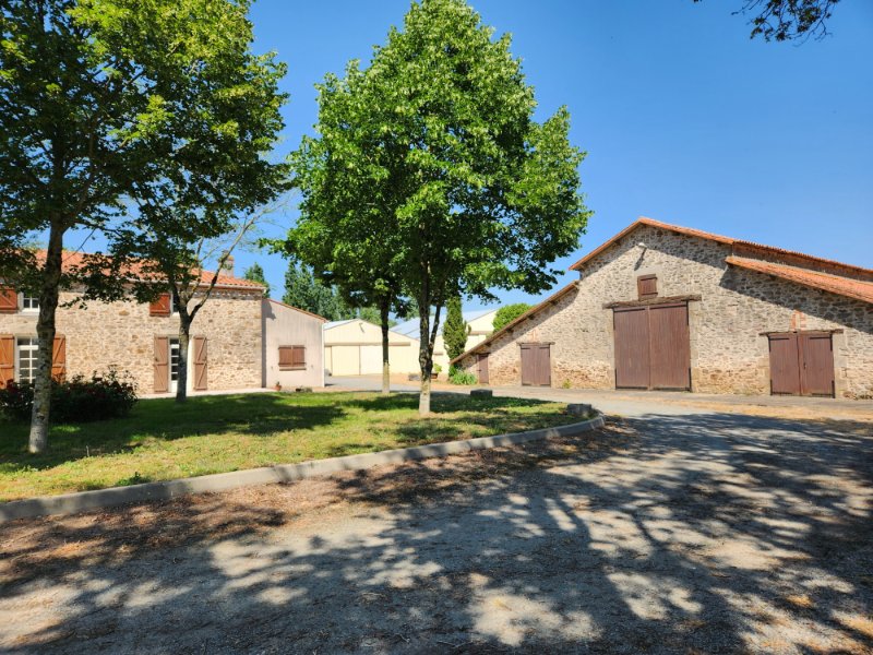 Photo 3 of the listing.