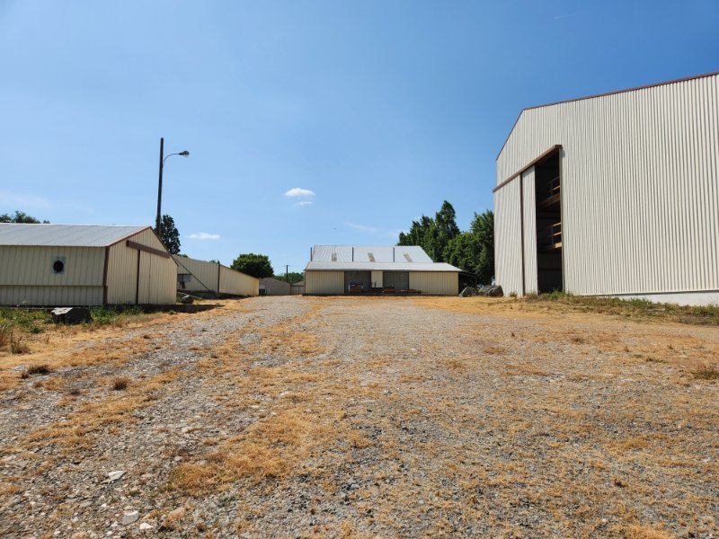 Photo 5 of the listing.