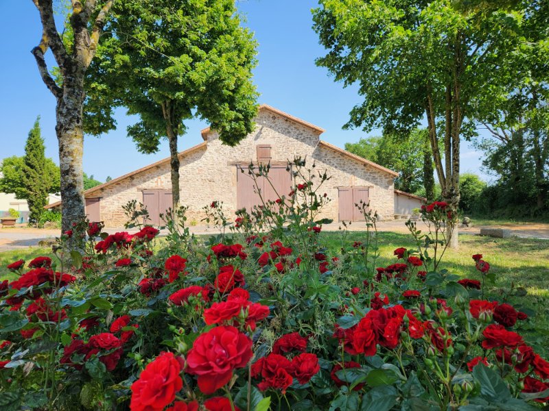 Photo 2 of the listing.