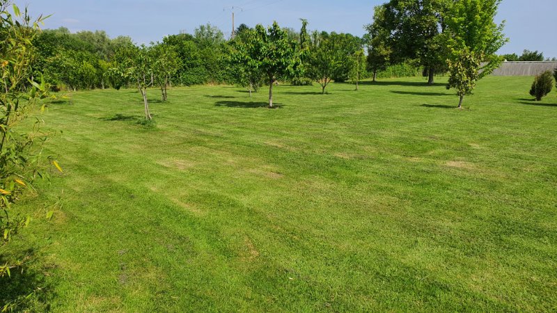 Photo 13 de l'annonce.