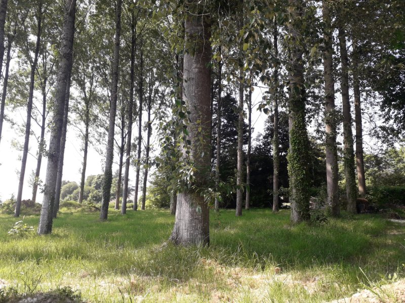 Photo 11 of the listing.