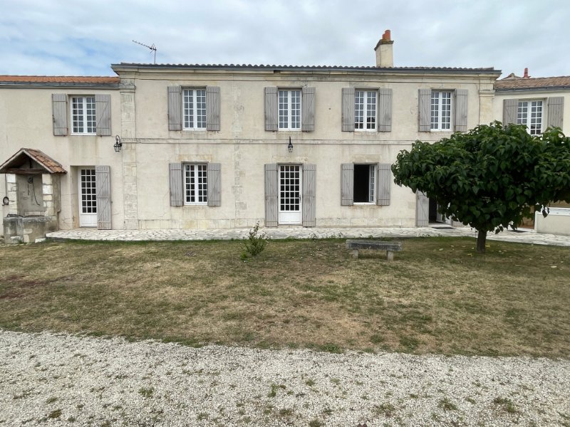 Photo 5 de l'annonce.